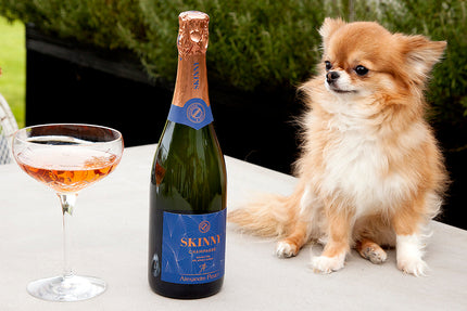 Cocktails for Summer by Amanda Thomson