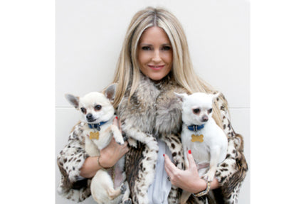 Donna's Dashing Dogs