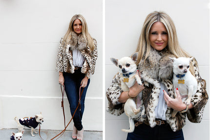 Denim Doggy Style