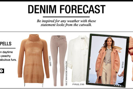Denim Forecast